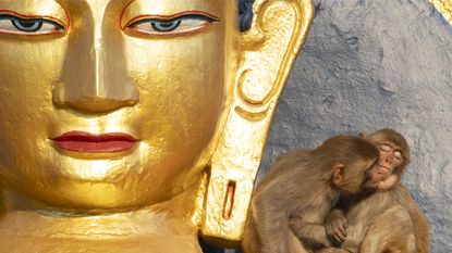 Monkeys enjoy the sunshine sitting on a golden Buddha statue at an ancient religious site in Kathmandu, Nepal