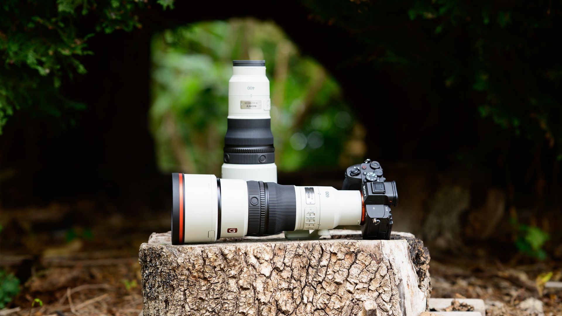 Sony FE 400mm F4.5 GM OSS and Sony FE 600mm F6.3 GM OSS super-telephoto lenses on a tree stump, with the 600mm attached to a Sony A7R V camera