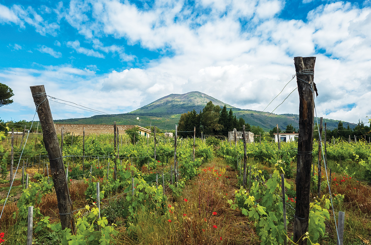 Casa Setaro, looking towards Vesuvius.