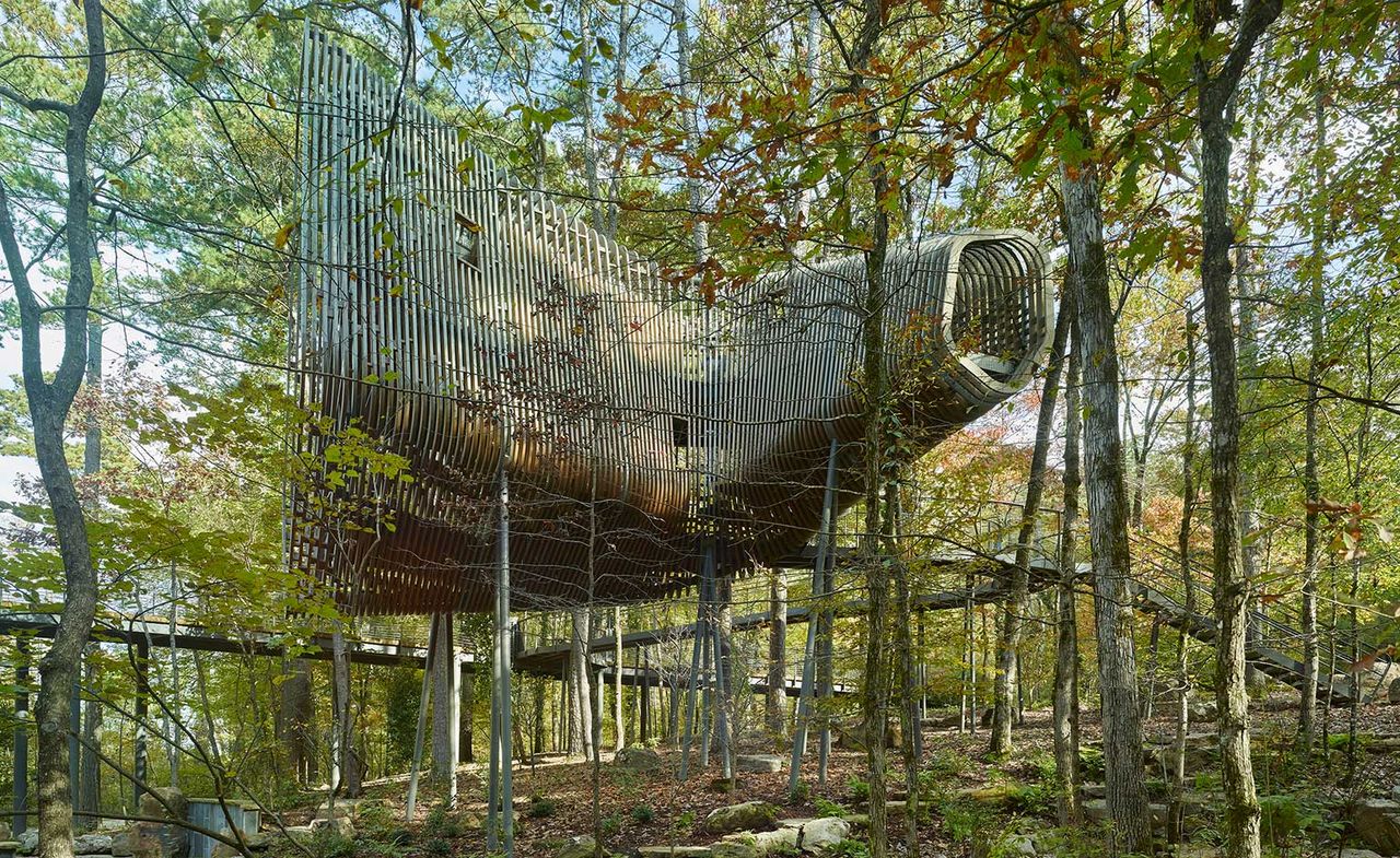 Evans Tree House in Arkansas