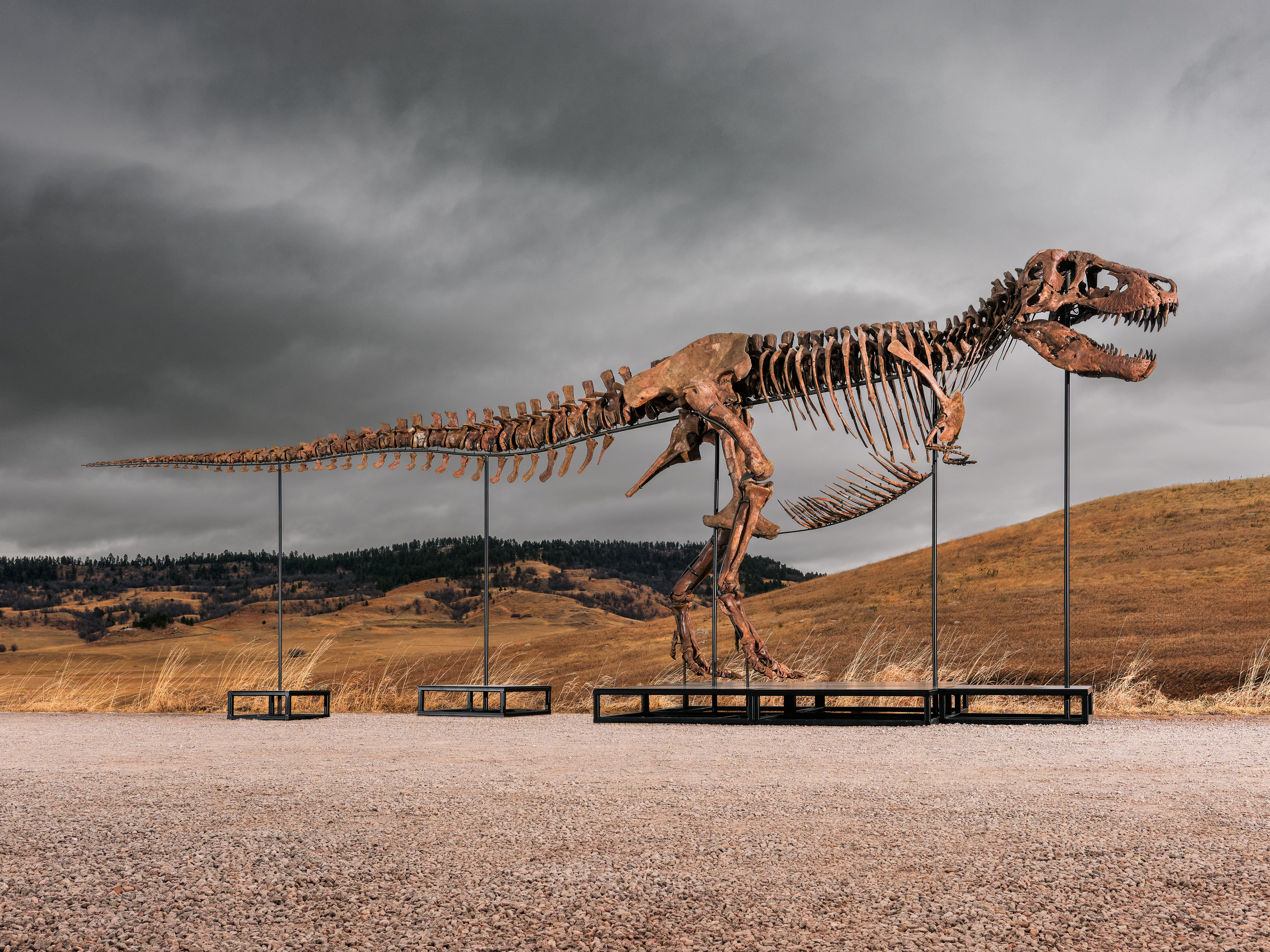 Dinosaur