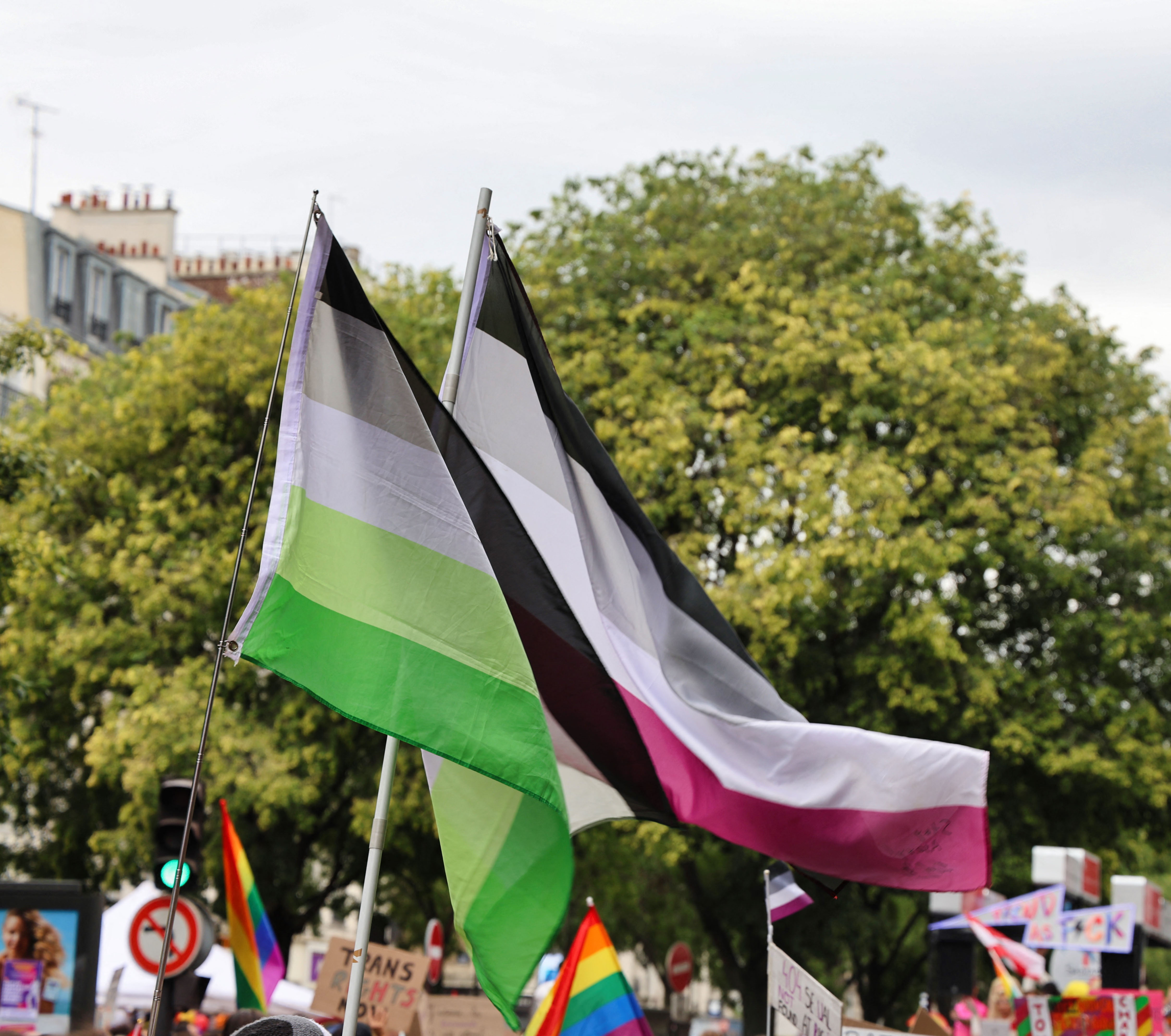 Asexual and aromantic flags at the Pride March held in Paris in France on June 29, 2024.