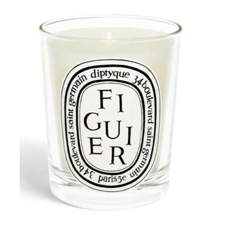 Diptyque Figuier Classic Candle - best Diptyque candles