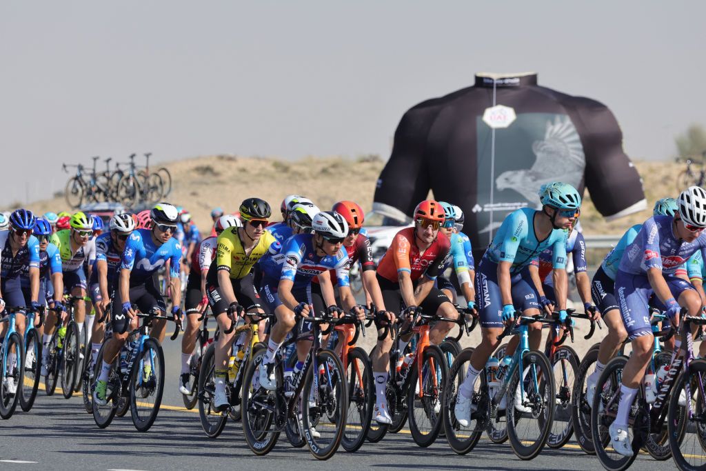 The pack rides during the fourth stage of the 6th UAE Cycling Tour, in Dubai, on February 22, 2024. (Photo by Giuseppe CACACE / AFP)