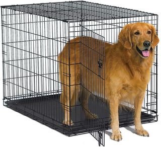 best dog crates