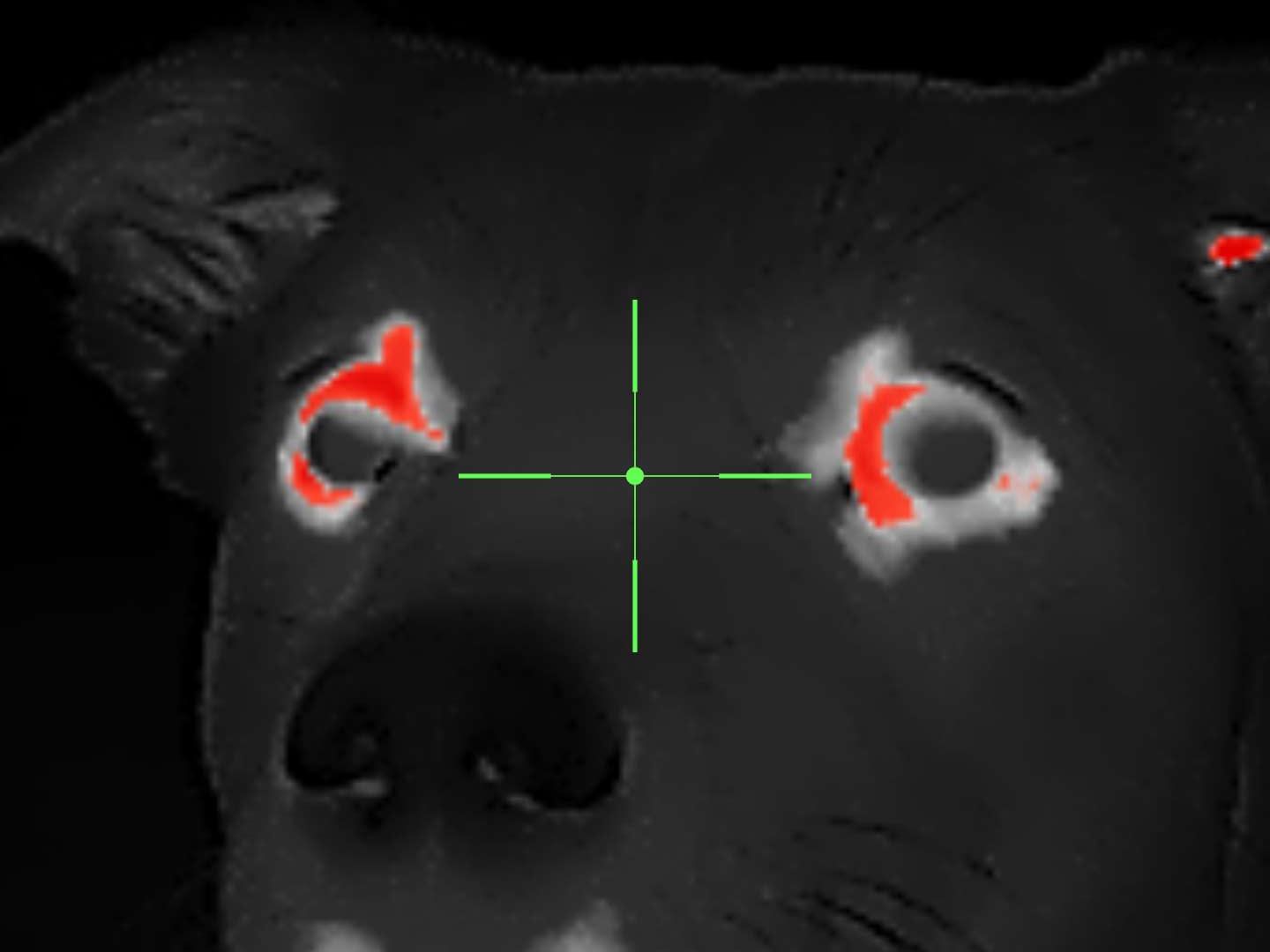 Xinfrared One XH09 captures