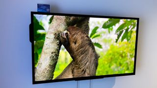 Sony FW-32BZ30J TV mounted on wall with a nature video playing