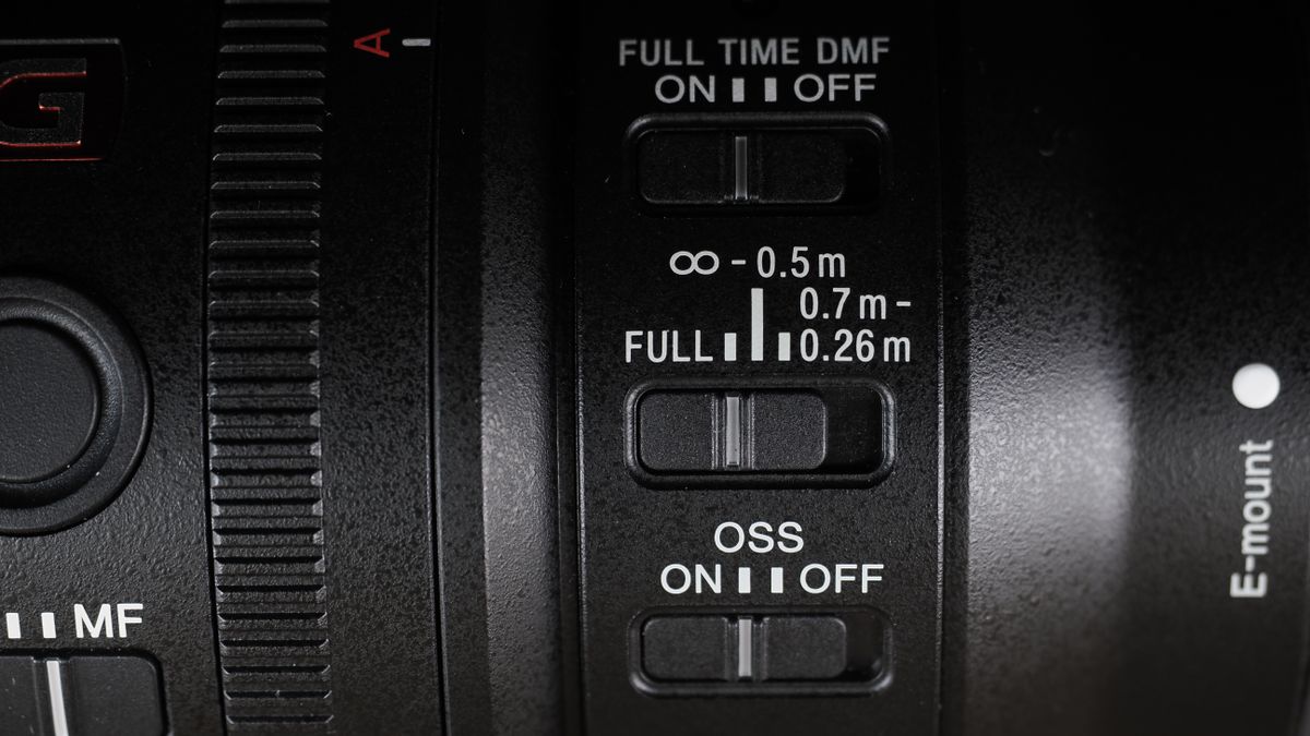 Sony FE 100mm f/2.8 Macro GM OSS on a wooden surface
