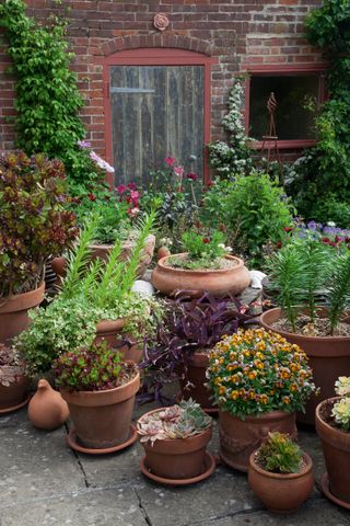 container display in a small garden