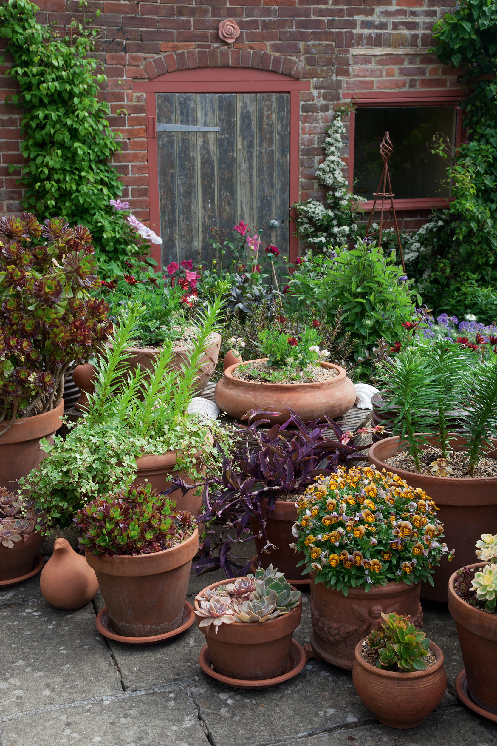 container display in a small garden