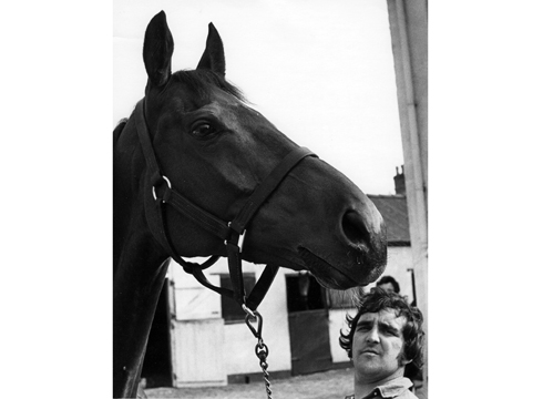 Red Rum