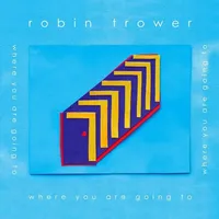 Where You Are Going To (V-12, 2016)