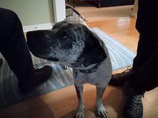 Moto G Pure Camera Samples