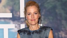 Gillian Anderson standing in front of a promotional board