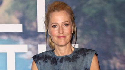 Gillian Anderson standing in front of a promotional board