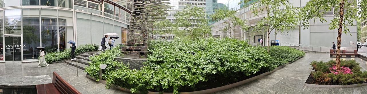 Motorola Razr Plus 2024 panorama sample.