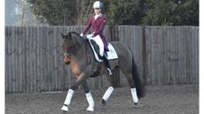 Diamonds-In-The-Rough-Dressage.jpg