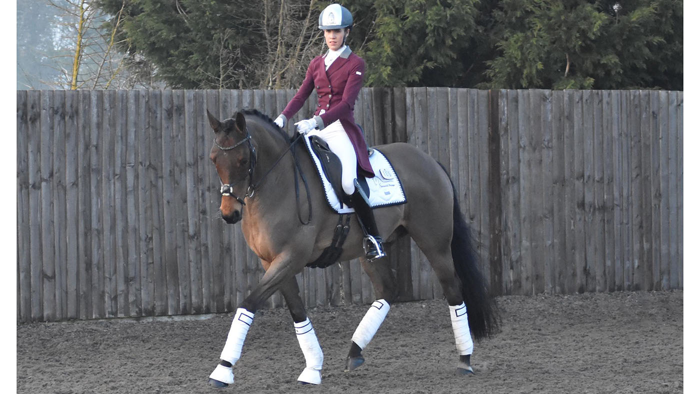 Diamonds-In-The-Rough-Dressage.jpg