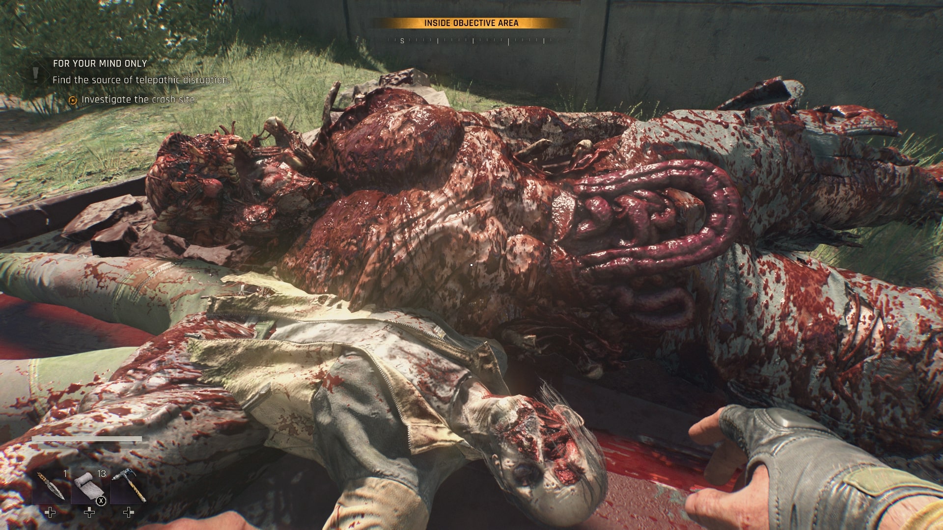 Dying Light: The Beast screenshots