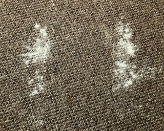 Flour on carpeted floor