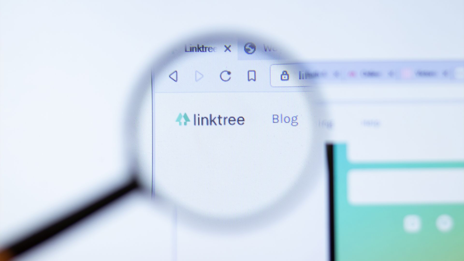 Linktree logo.