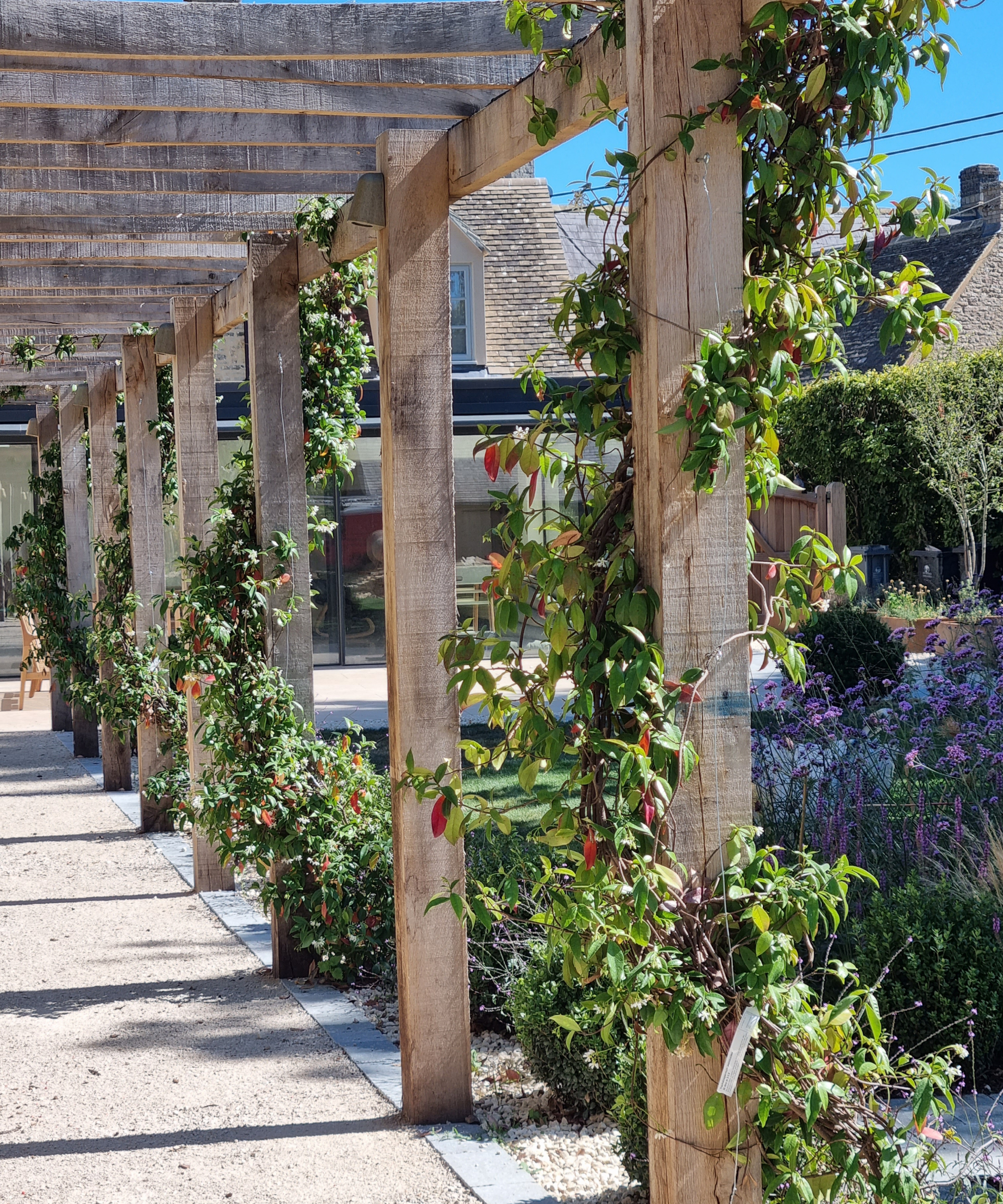 timber pergola walkway with planting