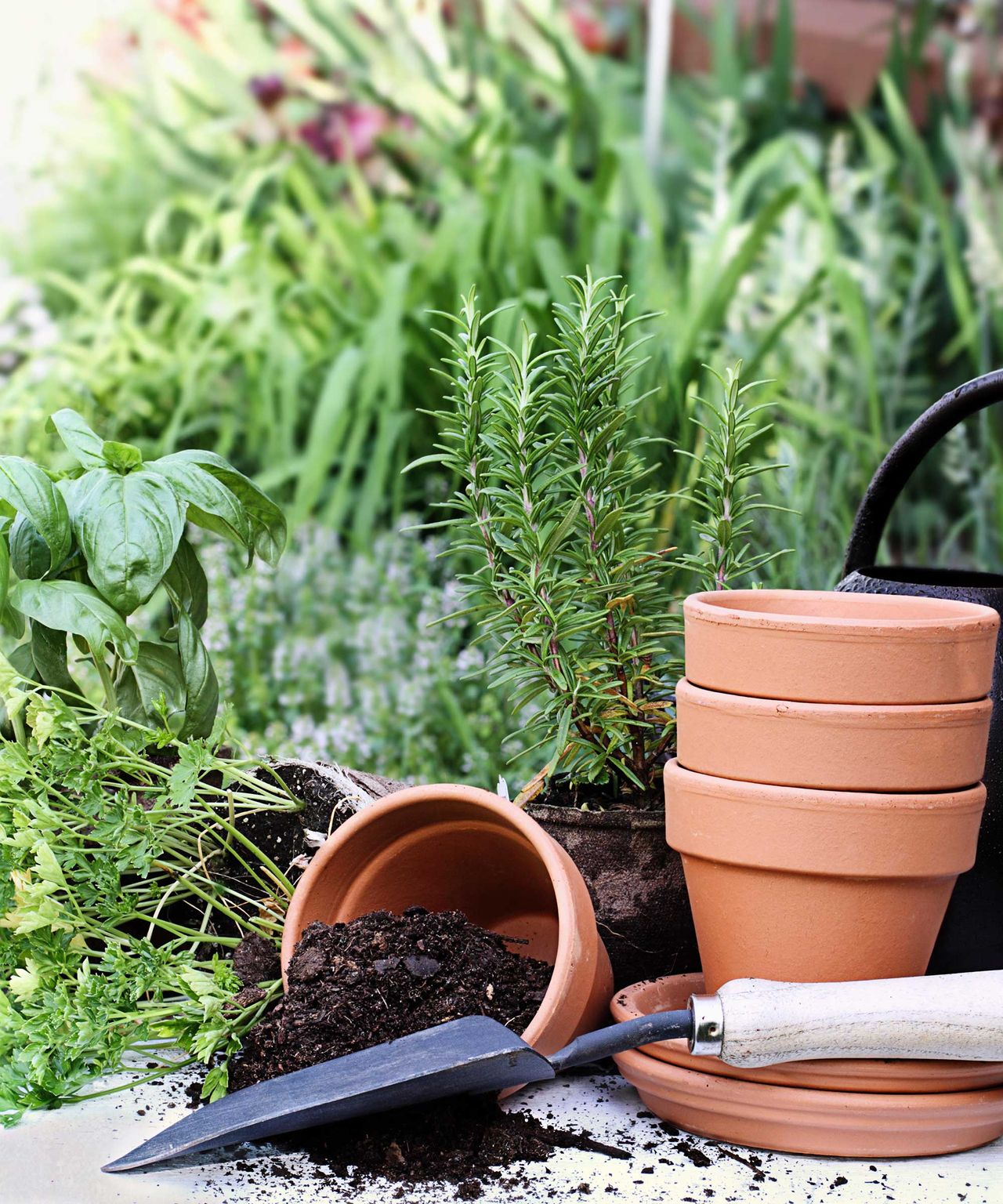 Can you reuse potting soil? The experts reveal Homes & Gardens