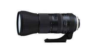 Sony 200-600 f/5.6-6.3 G OSS Review - See the impossible