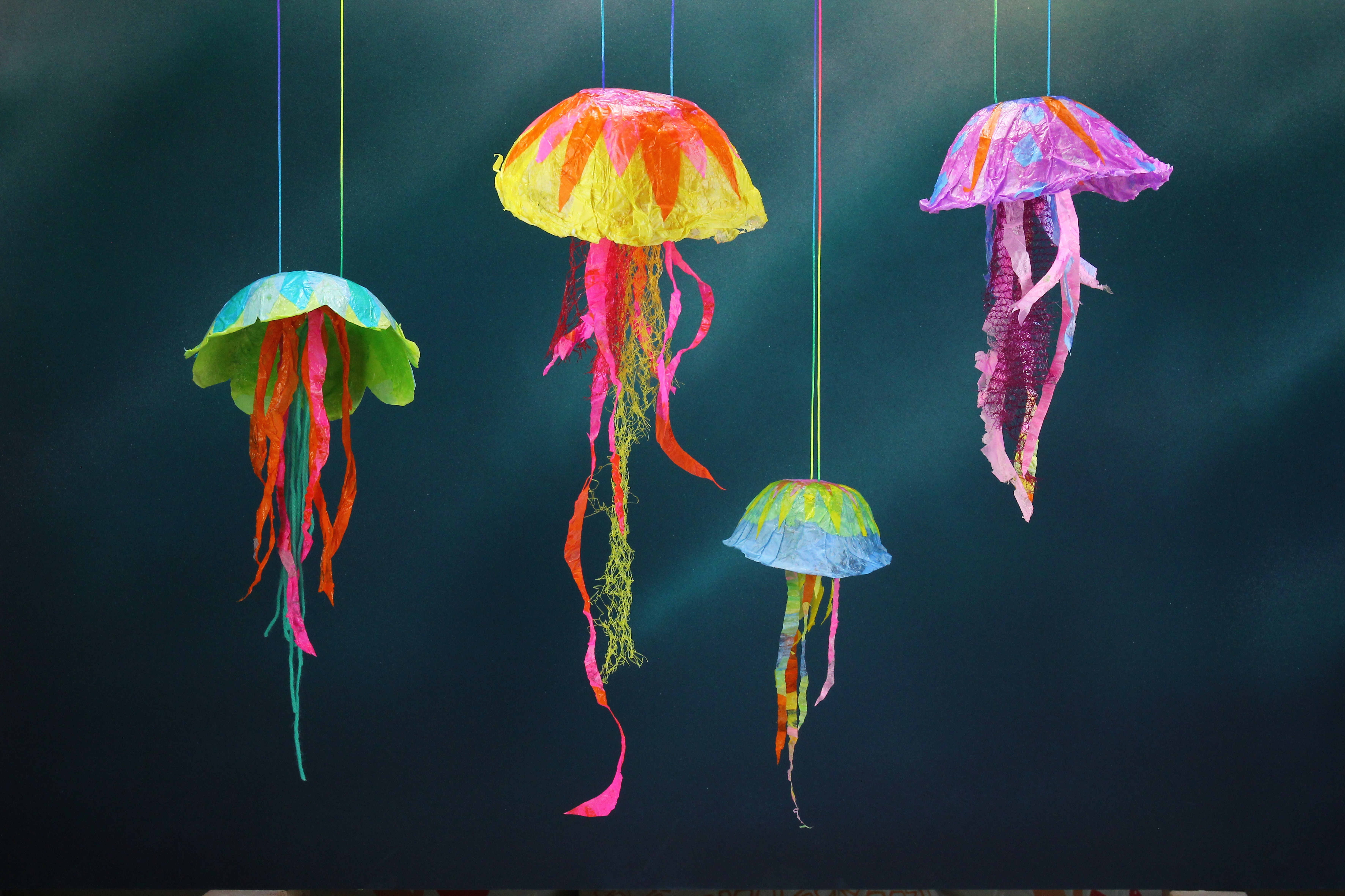 jellyfish