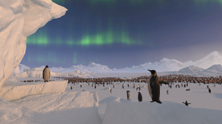 Penguins covering an icy plateau, with an aurora in the sky