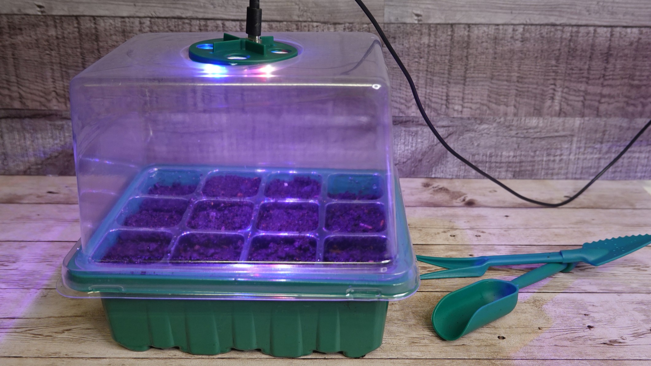 Plastic plant propagator with grow lamp attached