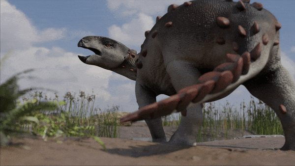 The newly described ankylosaur Stegouros elengassen displays its weaponized tail.