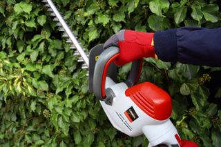 person trimming a hedge with a Cobra hedge trimmer