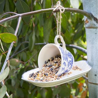blue china tea cup and saucer bird feeder on branch