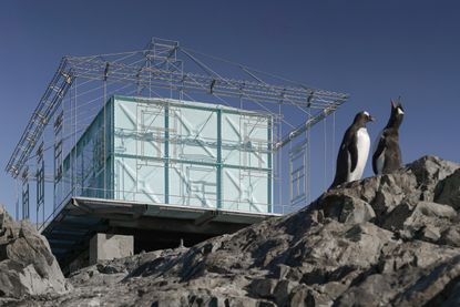 balbek bureau Vernadsky art installation at Research Base in Antarctica