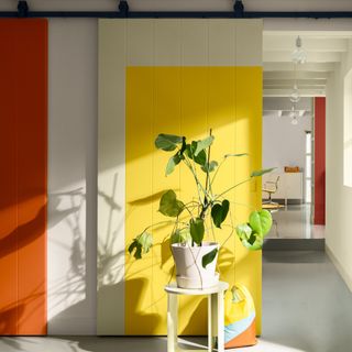 Dulux colour of the year 2025 true joy used on a door behind a houseplant in combination with red and cream as part of the Bold Colour Moment