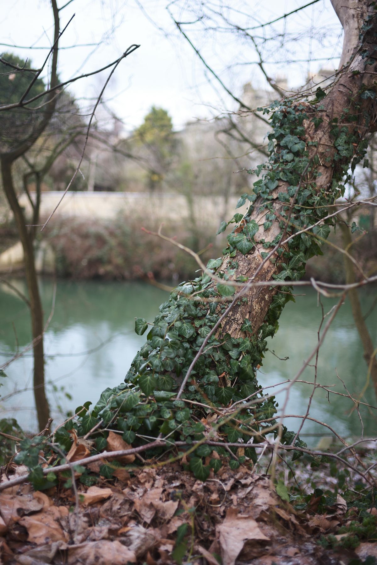 A photo taken on a Leica M EV1 camera