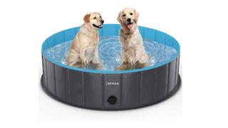lunaoo portable pool for dogs
