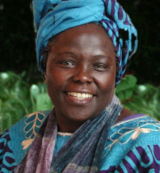 amazing women, Wangari Maathai