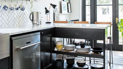 kitchen with dishwasher and kettle