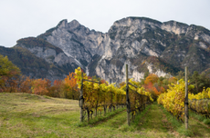 Alto-Adige-1-920x609.png