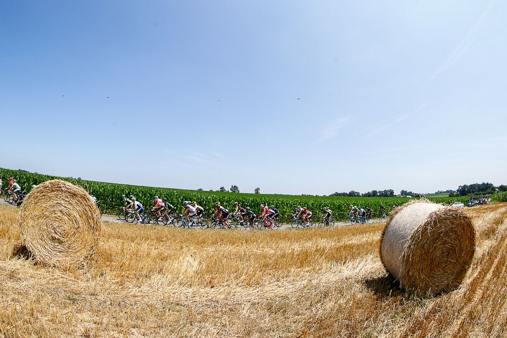 The peloton rolls through the French countryside during stage 10.