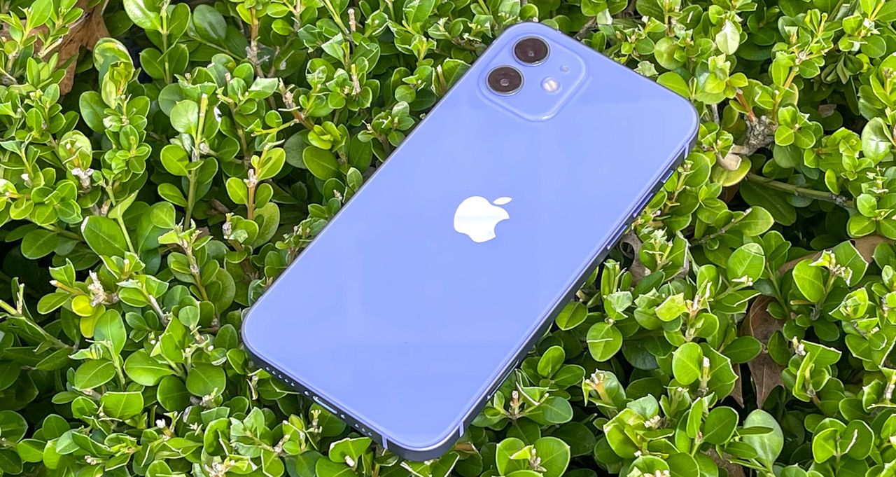 Purple iPhone 12