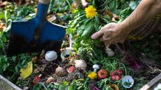 Can you compost weeds