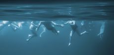 A shark's eye view of swimmers.