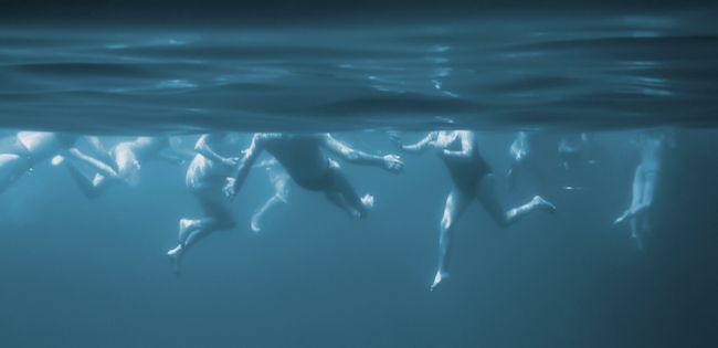 A shark&#039;s eye view of swimmers.