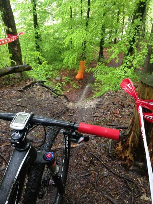 A view of the singletrack at the BMC Cup