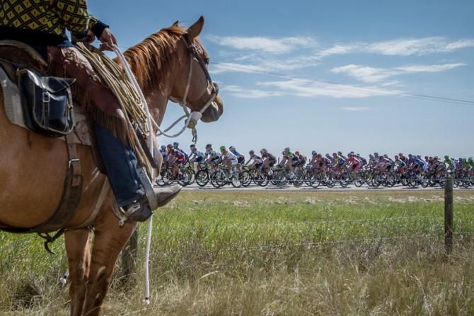 A cowboy watches as the bunch rolls out of Strathmore.