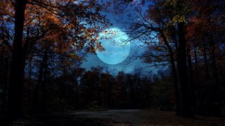 full moon amongst fall leaves and trees