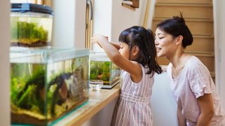 Mother and daughter looking at a fish tank that needs cleaning with one of the best fish tank cleaners